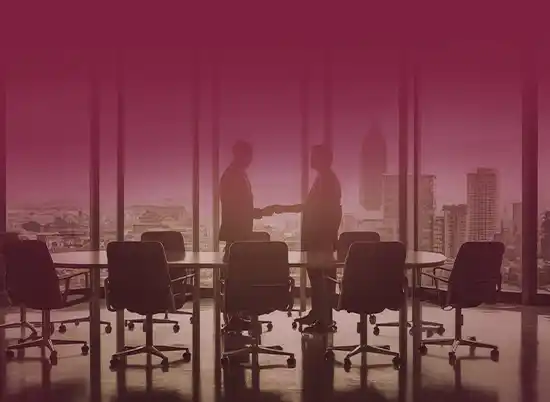 Image hover effect image